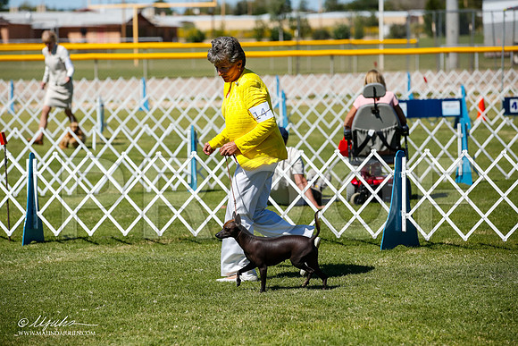 _JJ_8481-AlamogordoOct2014-HR3