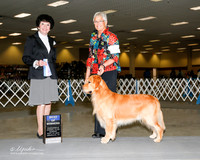 Golden Retriever #5 Sun BOW Clem Kathleen Judge Barbara Dempey Alderson
