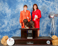 Havanese #10 Sun Maj BOB Highland Karen