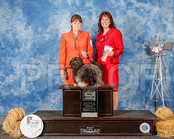 _ST_9938-2-AmarilloSept2015-HR3
