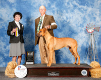 Rhodesian Ridgeback #7 Sun BOB Martin Thomas and Loretta Judge Barbra Dempsey Alderson