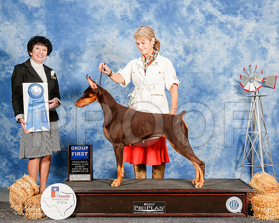 _ST_9950-2-AmarilloSept2015-HR3