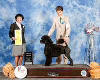 Portuguese Water dog #8 Sun G3 Thomas Martha and Mary Oldham Agent Schuylar Moore Judge Barbra Dempsey Alderson