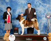 Akita #5 Sun G2 Witte Rick and Teresa Agent Clint Livingston Judge Barbara Dempsey Alderson