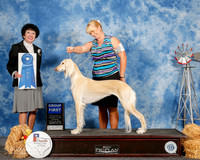 Saluki #6 Sun G1 Ackerman Lyndell Judge Barbara Dempsey Alderson
