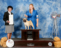 Pug #5 Sun G4 Delisa Mary Holly Leftwich Judge Barbara Dempsey Alderson