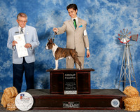 Boston Terrier #11 Sun G4 Mancine Dawn and Stacie Kinnaird Agent Schuylar Moore Judge Vincent Grosso