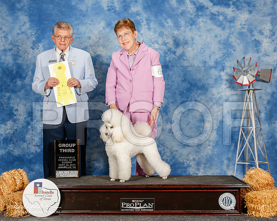 _ST_0028-2-AmarilloSept2015-HR3
