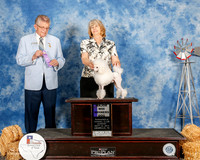 Poodle Toy #21 Sun Maj WD Stevens Raymond and Sharon Agent Elizabeth Brown Judge Vincent Grosso