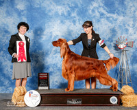 Irish Setter #5 Sun G2 Krueger John and Penny and MArgaret Grippin Agent Abby Moore Judge Barbara Dempsey Alserson