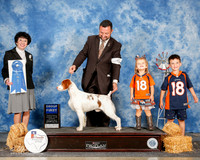 Brittany #5 Sun G1 Douglas Jim and Alisa Andras and C and K Hogan And A cone Agent Clint Livingston Judge Barbara Dempsey Alserson