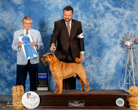 Chinese #5 Sun G1 Mauk Jeff and Loreeta Anderson and Esmae Minne Agent Clint Livingston Judge Vincent Grosso