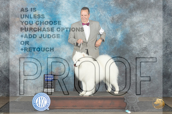 Samoyed #7 Mon G1 Judge Dr Steve Keating__JP_4477_Lubbock_2024_HR3