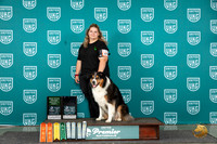 English Shepherd #477