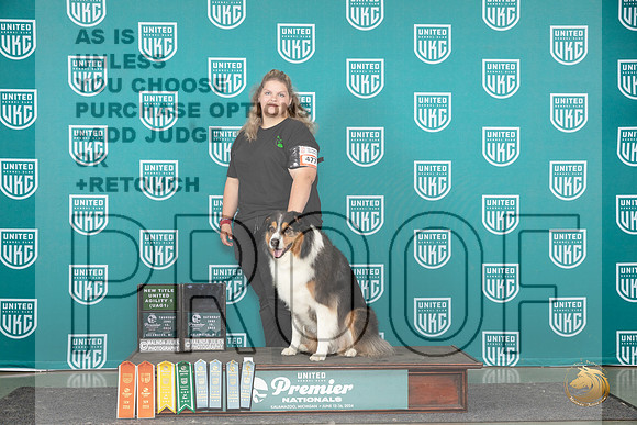 English Shepherd #477__JP_2986_Premier_2024_HR3