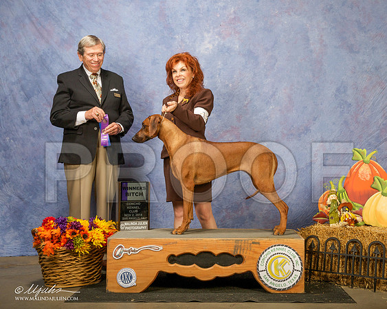 _CL_4608 - Version 2-SanAngelo2014-HR3
