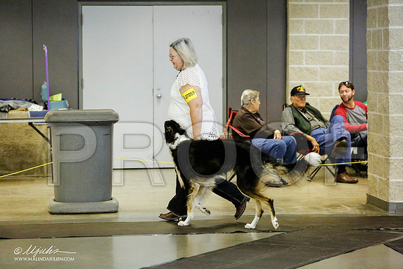 _RH_1311-BeltonJan2015IABCA-HR3