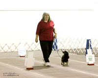 Mari Bailey-Villanueva Midland Feb 2012