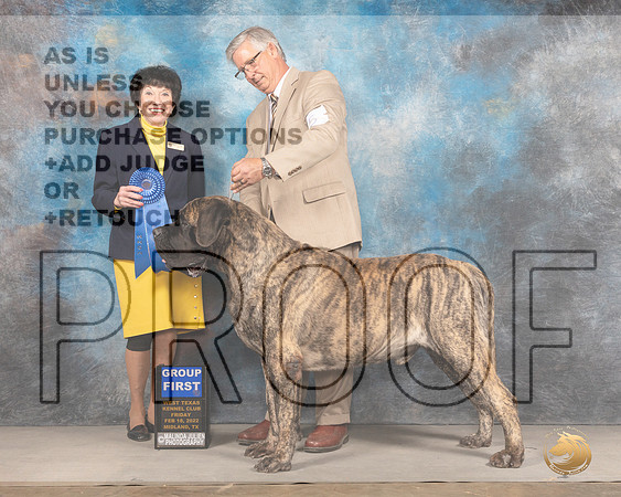 Mastiff #5 Fri G1 Judge Barbara AldermanMMJ_3312_Mdlnd2022_HR3