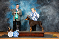 Doberman Pinscher #10 Sat OHG3 Judge Jim Fehring