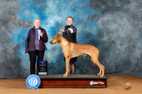 Andrea Stone NRKC 2023