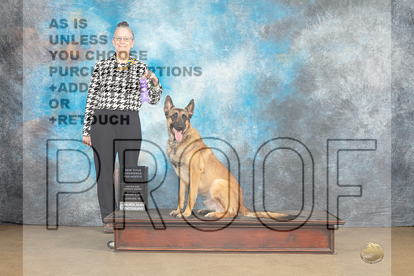 Belgian Malinois #814 Sat PrNov Judge Patricia Pierce-_MJ_9551e_UKCLngvsFeb2023-HR3