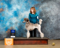 Ashley Lungwitz UKC Longview Feb 2023
