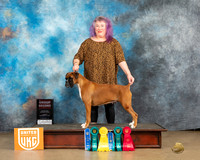 Billie Samuelson UKC Longview Feb 2023