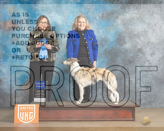Silken Windhound #115 Sat1 G1 Judge Debbie Mitchell-_MJ_9273e_UKCLngvsFeb2023-HR3