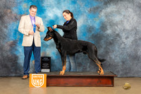 Ashley De Noma UKC Longview Feb 2023
