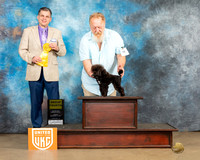 Doug Matney UKC Longview Feb 2023