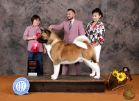Carlos Rodriguez Marshall 2026