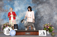 DARCY MORGAN ABQ 2026