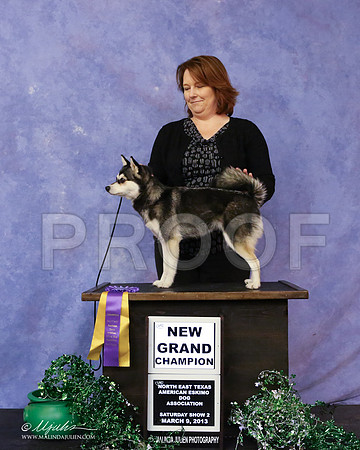 kleekai-7159-LR