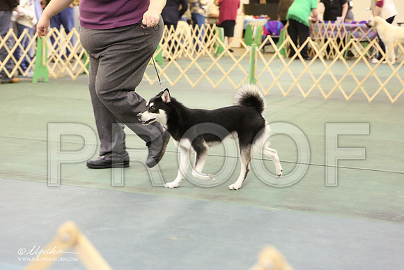 kleekai-4709-LR