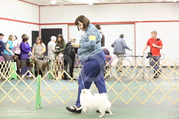 Ae-1134-LR