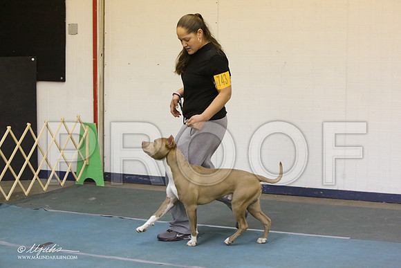 APBT-4978-LR