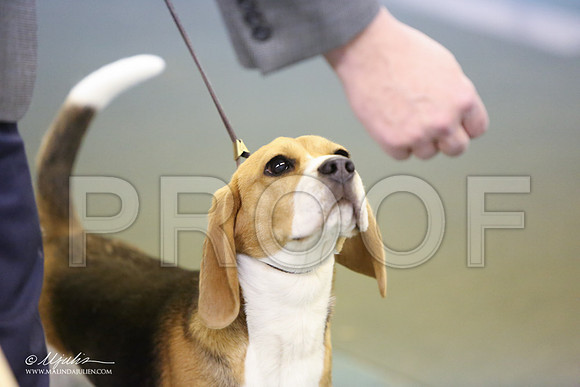Beag-4843-LR