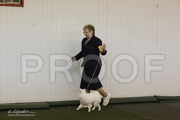 BISpup-2688-LR