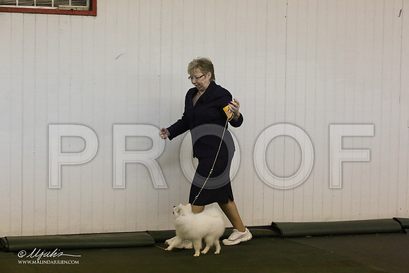 BISpup-2690-LR
