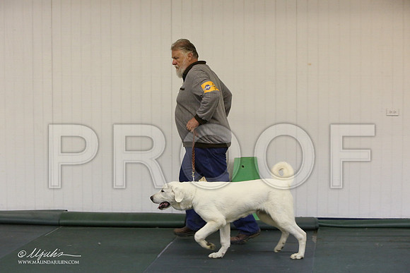 BISpup-4530-LR