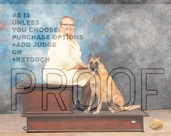 Belgian Malinois Custom-MMJ_3068-Addison2022-HR3