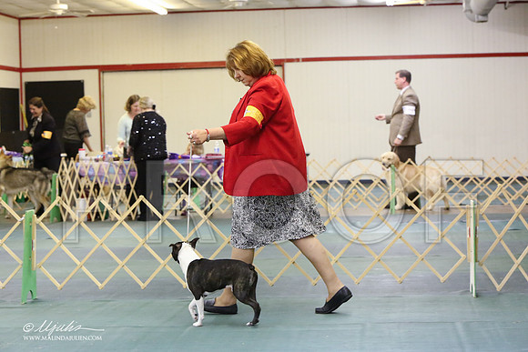 BosT-2009-LR