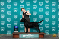 Labrador Retriever #376 Sun AG1 Judge Carianna Glenn