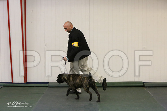 Cane-2611-LR