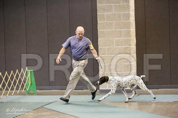 _RH_8937-BeltonJan2015-HR3