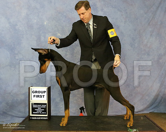 Dobe-7495-LR