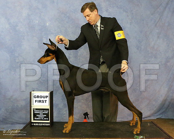 Dobe-7502-LR