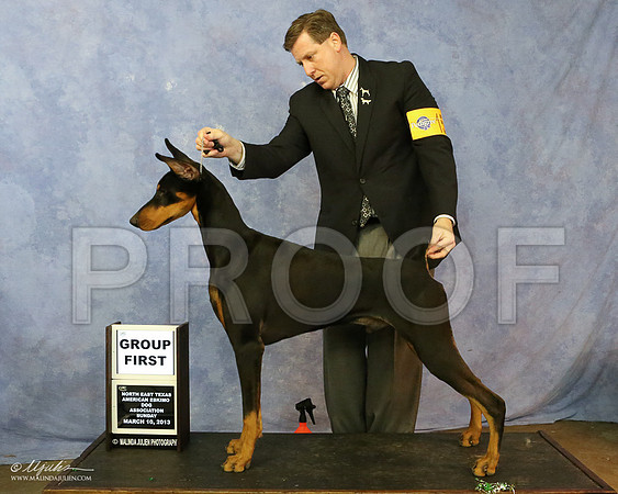 Dobe-7506-LR