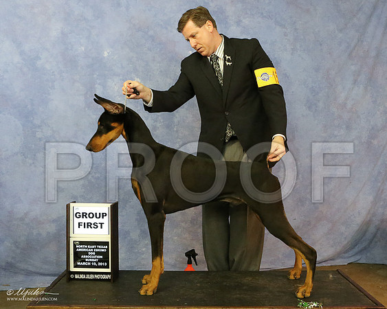 Dobe-7510-LR